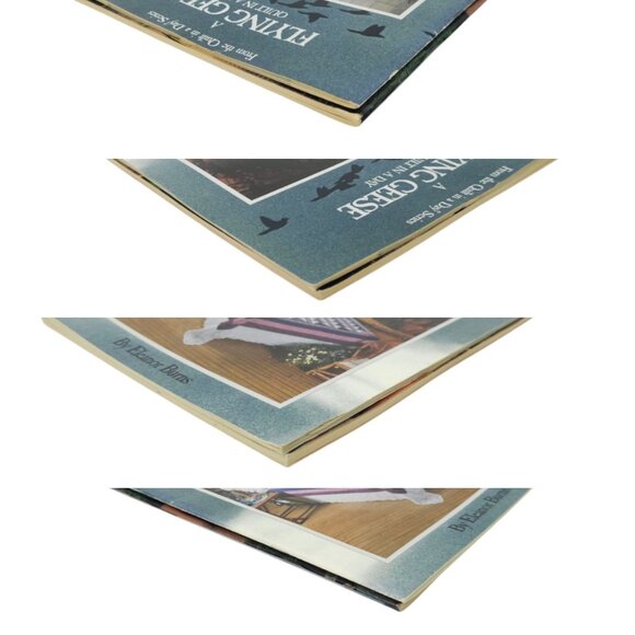 May Basket Flying Geese Eleanor Burns 1988 1992 Quilt In A Day Paperback Books - Picture 8 of 14